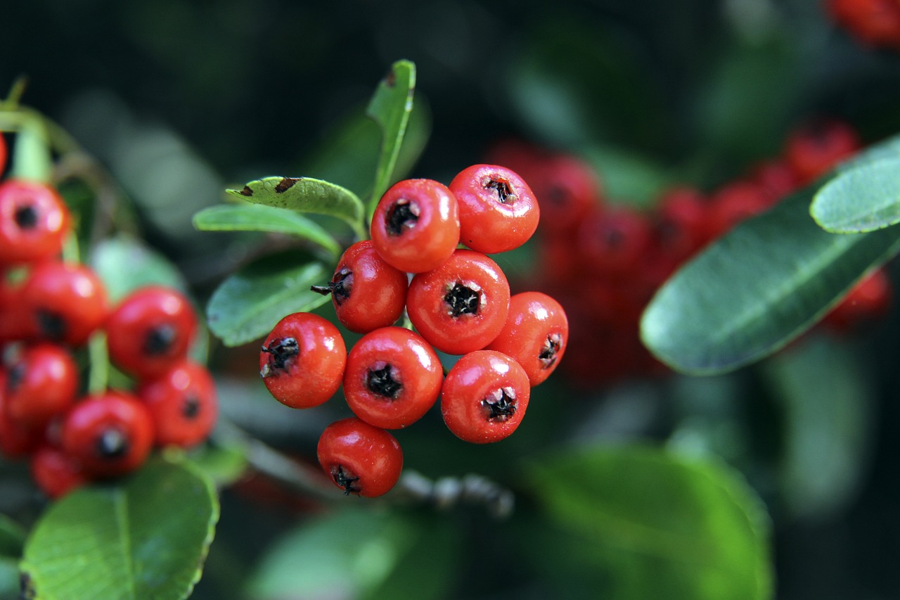 能将被重新 能将被重新