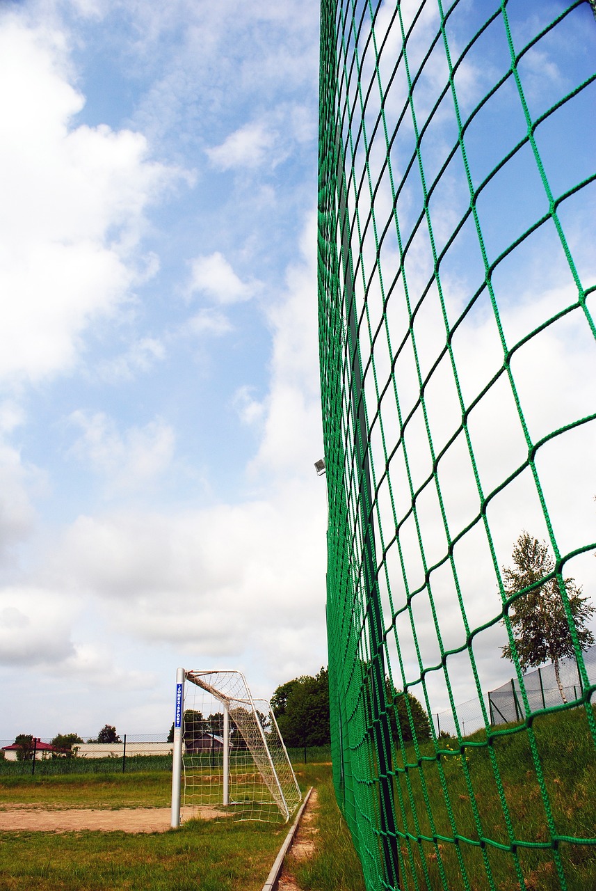 并在未来的 并在未来的