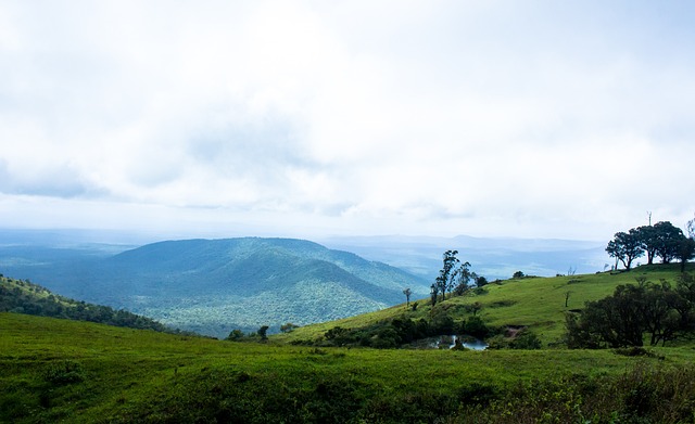 全方位参与 全方位参与