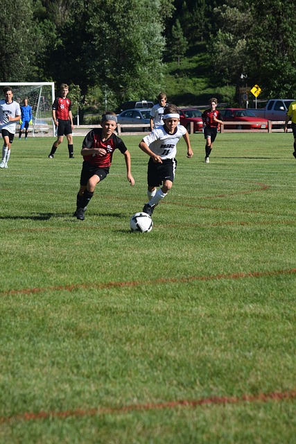 他们拥有强 他们拥有强