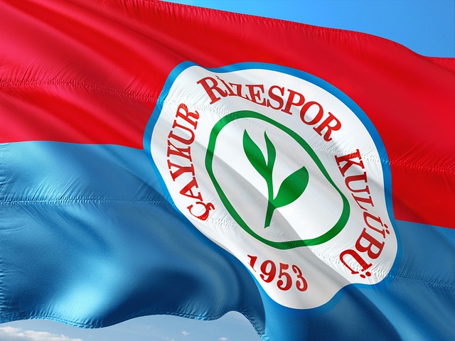 而独行侠球 而独行侠球