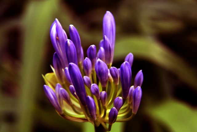 广东正以 广东正以