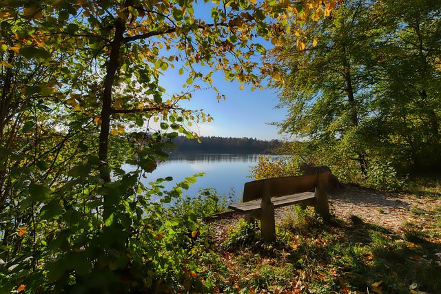 锐的门前嗅 锐的门前嗅